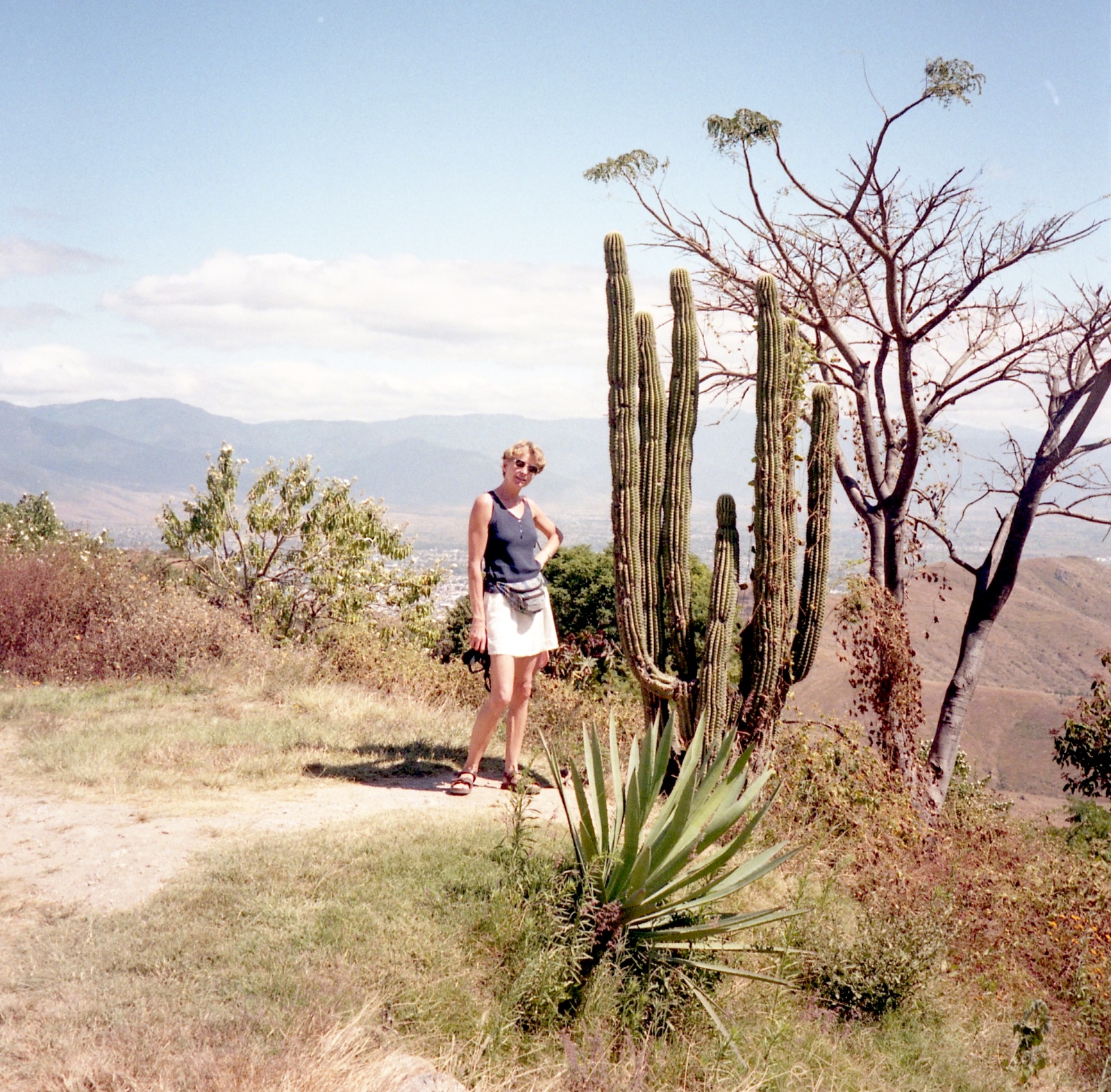 19961114 007   Oaxaca Mont Alban   Mexico Film 05 Fnr 009